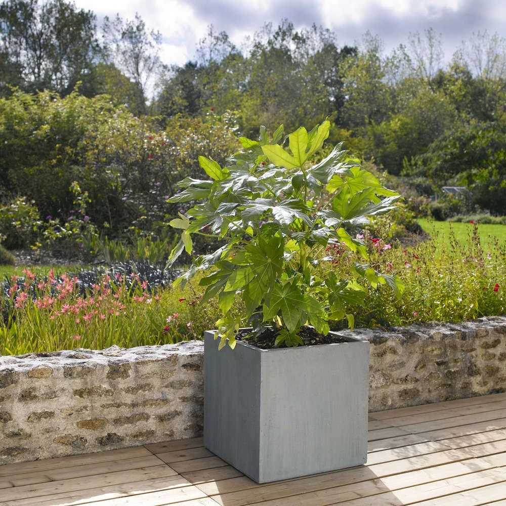 Cube Jin, Gris Ciment L. 50 X L. 50 X H. 50 Cm – Image 3