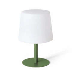 Mini Lampe Acier Vert Cactus