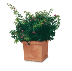 Pot Plastique, Parfaite Imitation Poterie En Terre Cuite 50 X 50 H43 (65 Litres)
