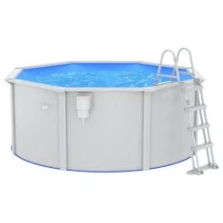 VIDAXL Piscine Avec échelle De Sécurité 300x120 Cm