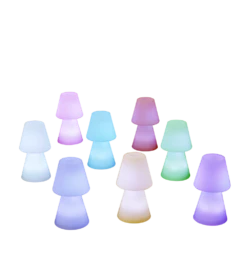 Lampe De Table Lola 30 Batterie Rechargeable Led Rgb Avec Télécommande Hauteur 30cm